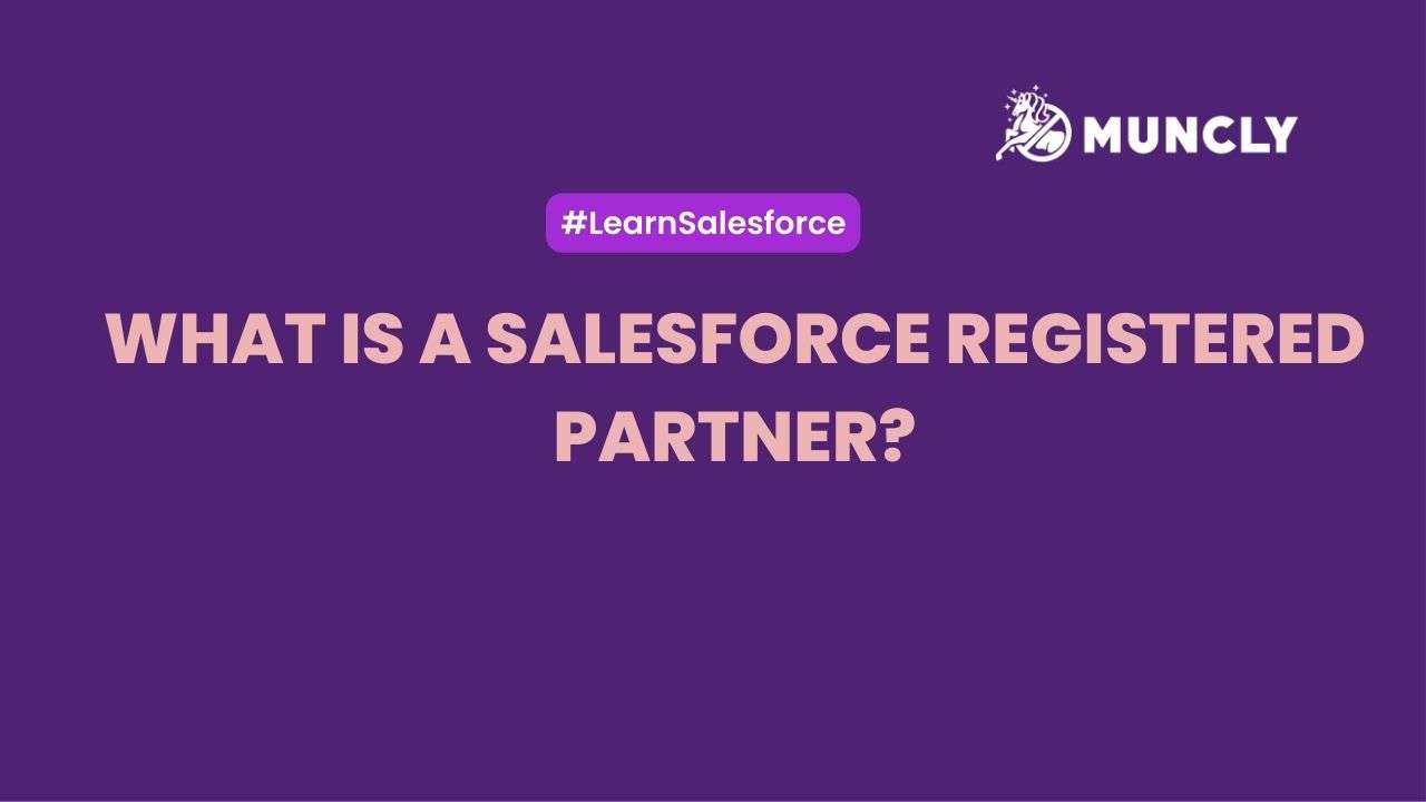 What is a Salesforce registered partner?