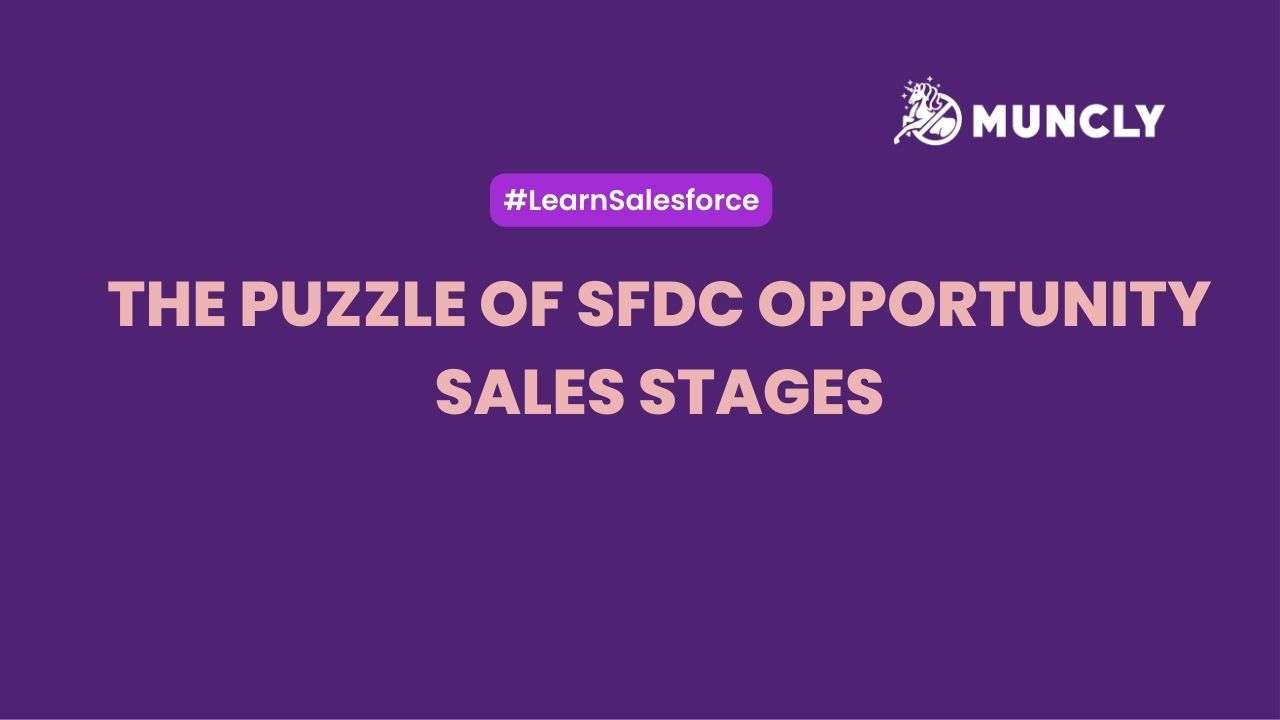 The Puzzle of SFDC Opportunity Sales Stages