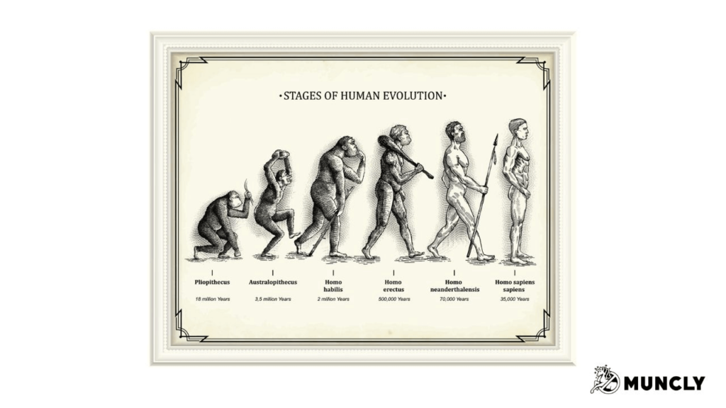 Evolution image