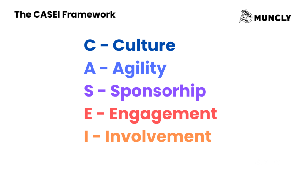 CASEI framework