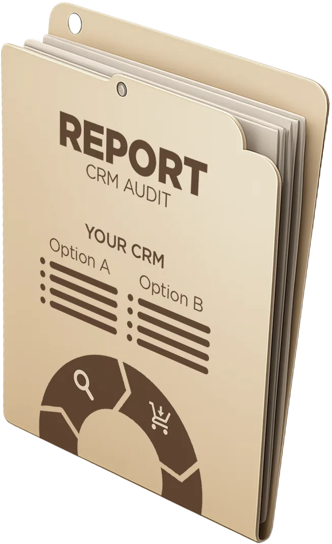CRM Audit Report preview